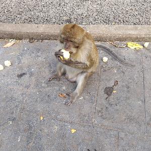 Фото отзыва Руслан №2