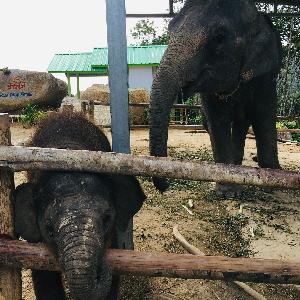 Фото отзыва Надежда №1