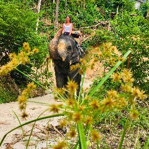 Фото отзыва Надежда №2