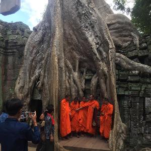 Фото отзыва Elena  №4