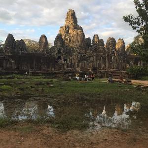 Фото отзыва Elena  №5