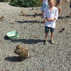 Фото отзыва Валентина №1