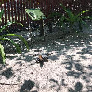 Фото отзыва Игнат №9