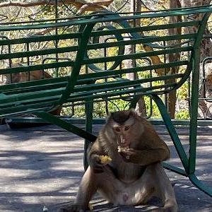 Фото отзыва Denis №1