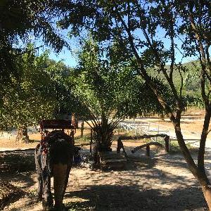 Фото отзыва Натали  №1