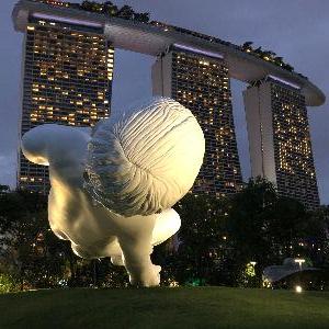 Фото отзыва Boris №1