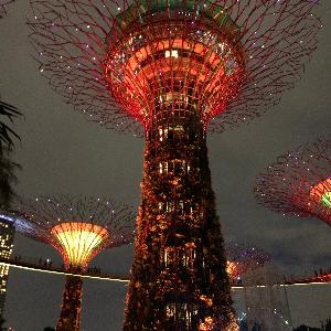 Фото отзыва Boris №4