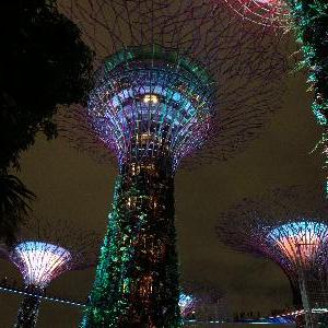 Фото отзыва Boris №5