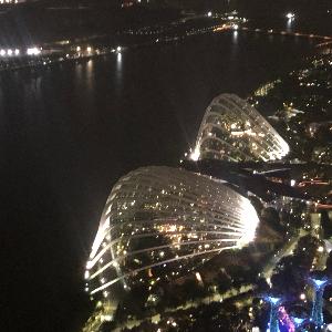 Фото отзыва Boris №8