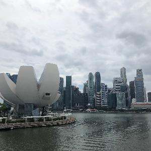 Фото отзыва Boris №12