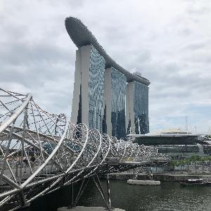 Фото отзыва Boris №13