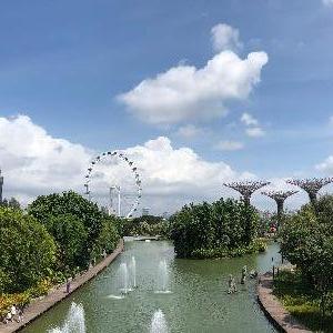 Фото отзыва Регина №5