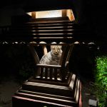 Фото отзыва Татьяна №3