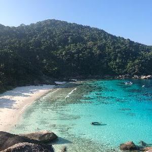 Фото отзыва Диана №2