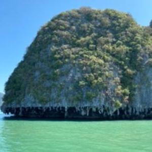 Фото отзыва Юлия №4