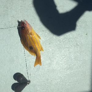 Фото отзыва Павел №3