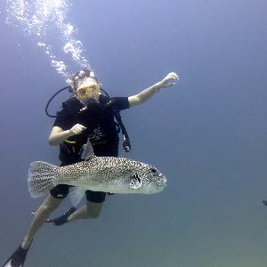 Фото отзыва Ирина №2