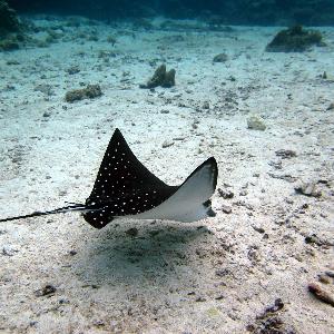 Фото отзыва Ирина №3