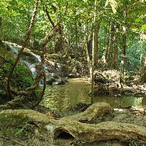 Фото отзыва Tina Jemeljanova №2