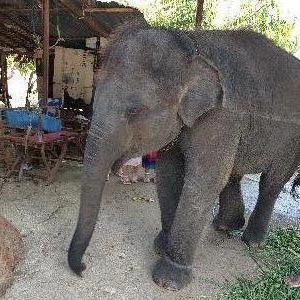 Фото отзыва Tina Jemeljanova №2