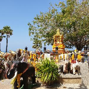 Фото отзыва Tina Jemeljanova №4