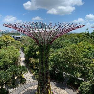 Фото отзыва Галина №2