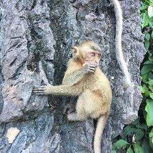 Фото отзыва Алёна  №1