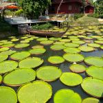 Фото отзыва Айгуль №7