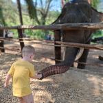 Фото отзыва Татьяна  №3