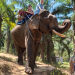 Фото отзыва Татьяна  №4