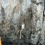 Фото отзыва Айжан №3