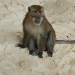 Фото отзыва Ольга №1