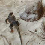 Фото отзыва Ольга №2