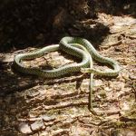 Фото отзыва Ольга №4