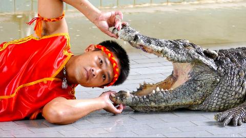 Крокодиловая ферма - preview #1