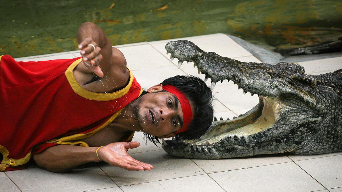 Крокодиловая ферма