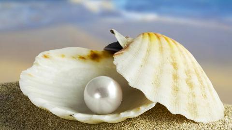 Фабрика жемчуга