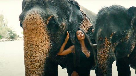 Катание на слонах на Пхукете