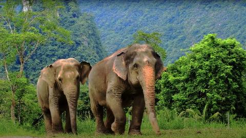 Экскурсия Као Лак