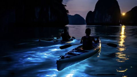 Инста тур - Сияние планктона